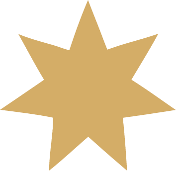 Star Icon