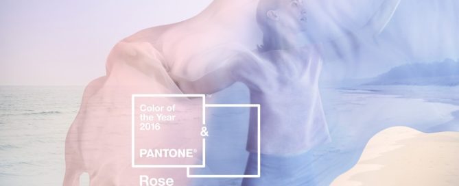 Coy16 4Core Wm Rgb Medres 1002X667 1