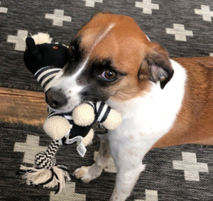 Caylinplaylist Photo04 300X283 1