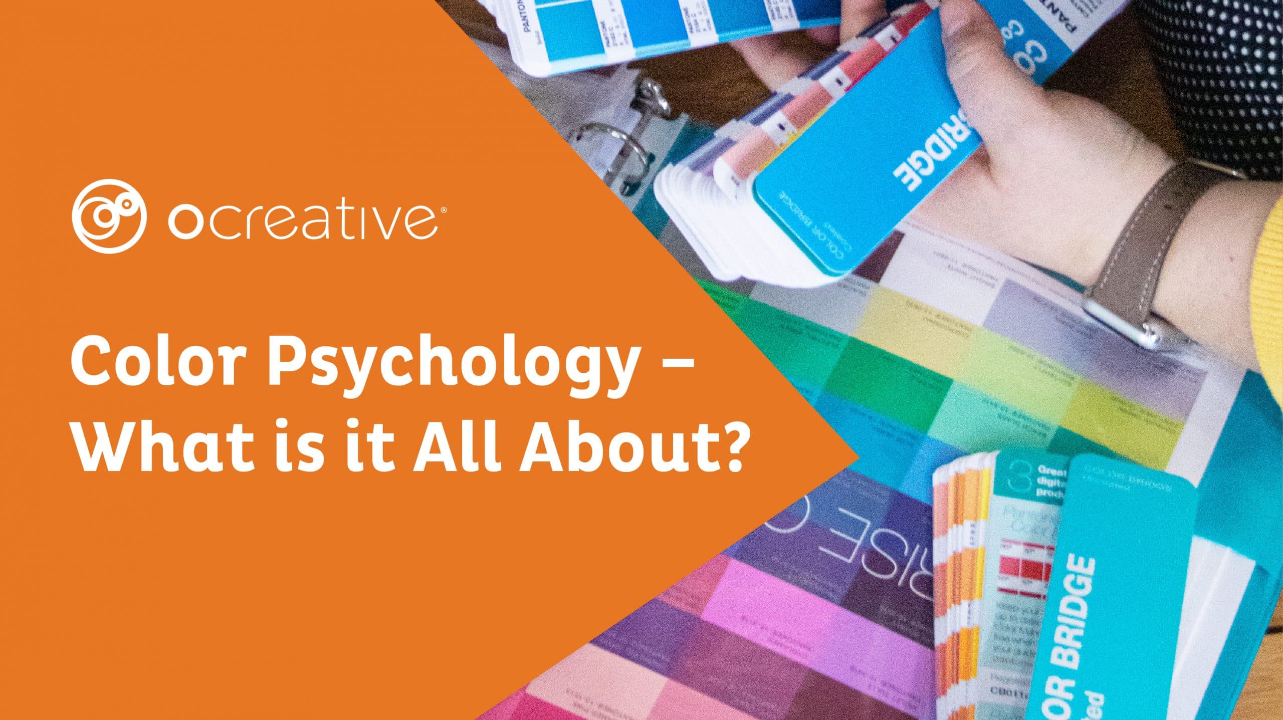 Colorblog Header Scaled 1