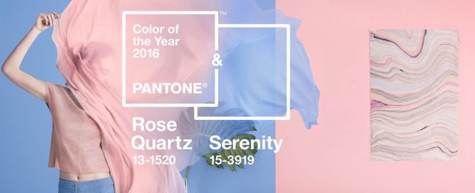 Ht Pantone Color Cf 151202 12X5 1600