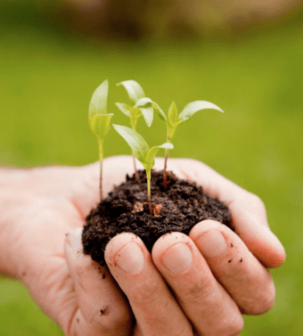 Screen Shot 2017 07 20 At 10.28.57 Am E1500568819185