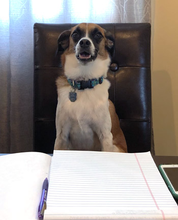 Wendy_Business Wendy Business