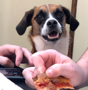 Wendy_Pizza-295×300-1 Wendy Pizza 295X300 1