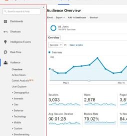 Left Side Bar 255X300 1