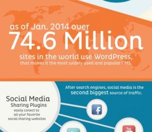 Wordpressinfographic 313X1030 1