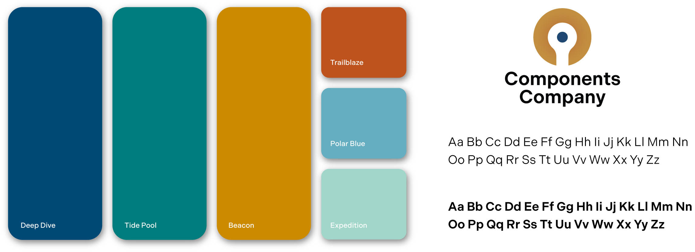 Color Palette Created For Cci Branding