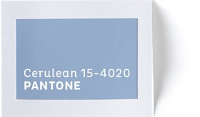 Coy2020 Cerulean